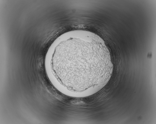 X0000114170747200911051527