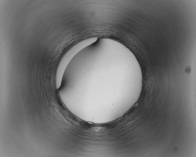 X0000114170748200911051527