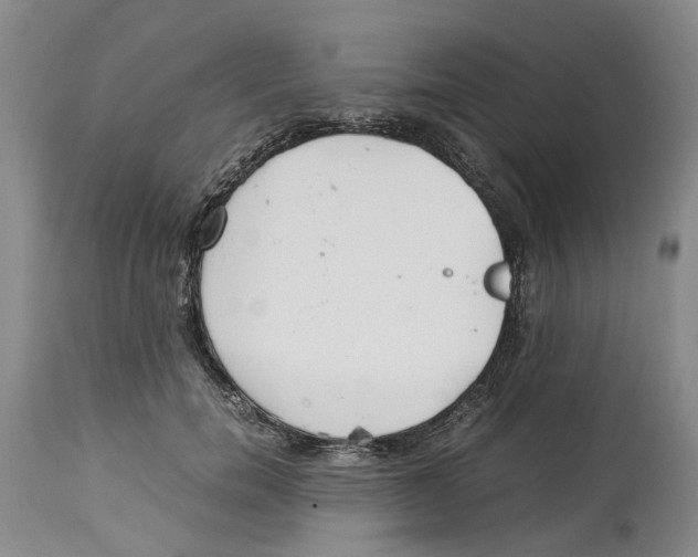 X0000114170750200911051527