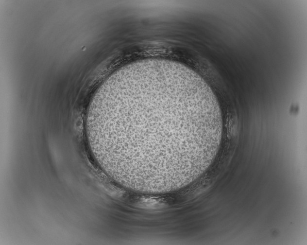 X0000114170753200911051527