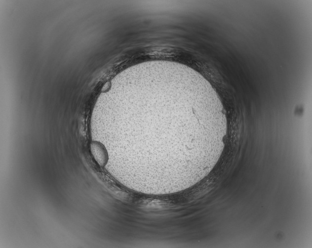 X0000114170755200911051527