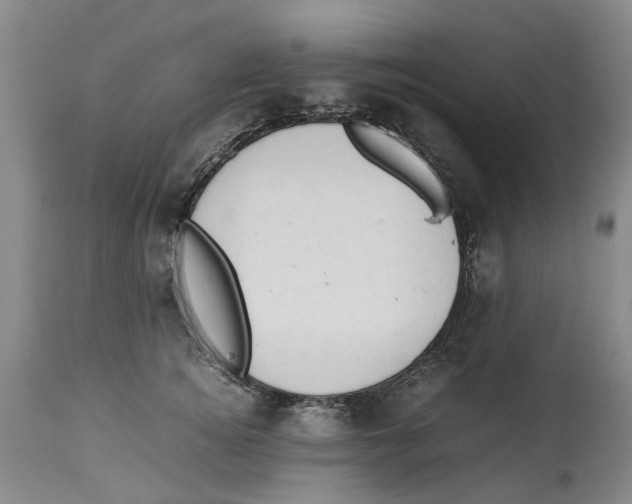 X0000114170756200911051527