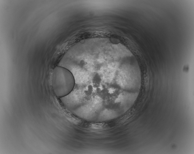 X0000114170757200911051527