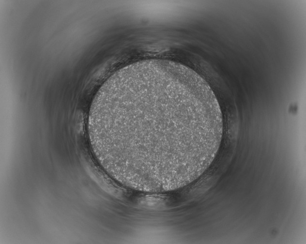 X0000114170758200911051527