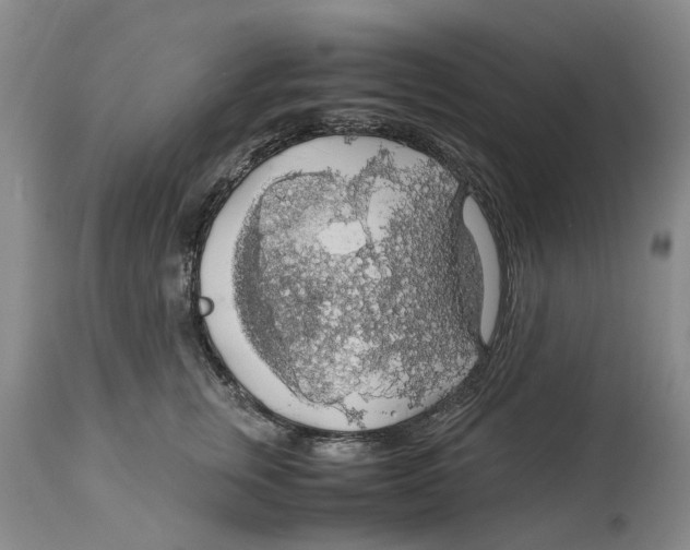 X0000114170759200911051527