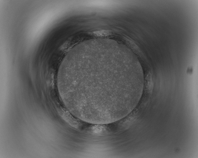 X0000114170762200911051527