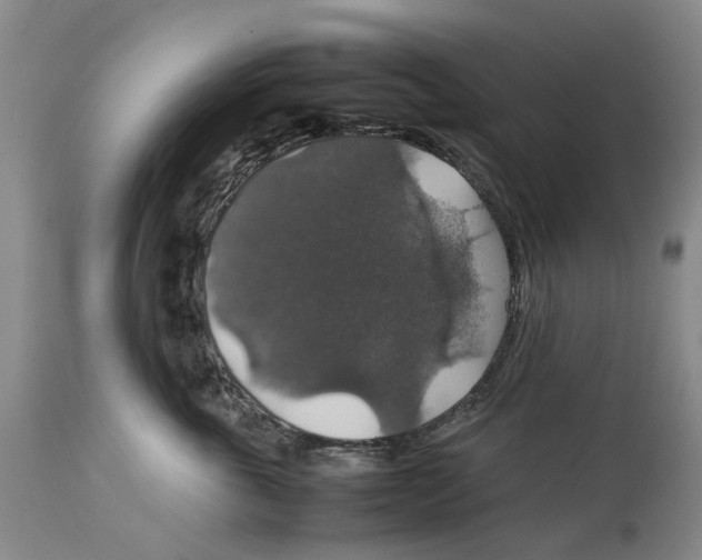 X0000114170763200911051527