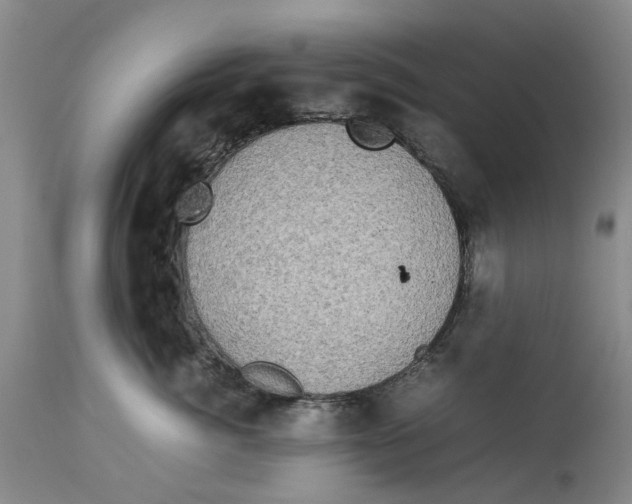 X0000114170764200911051527