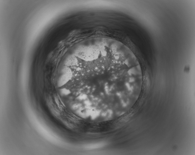 X0000114170765200911051527