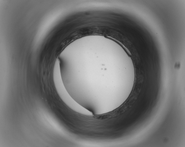 X0000114170766200911051527