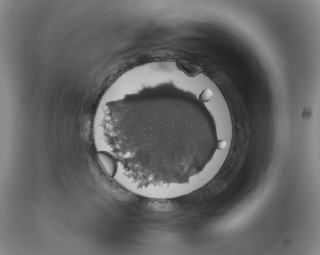 X0000114170767200911051527