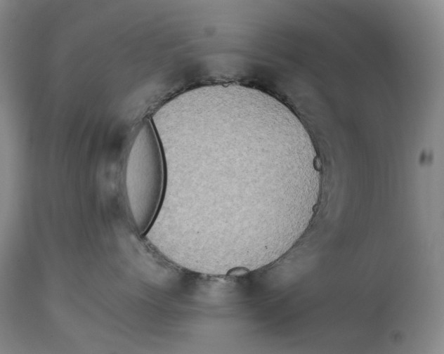 X0000114170768200911051527