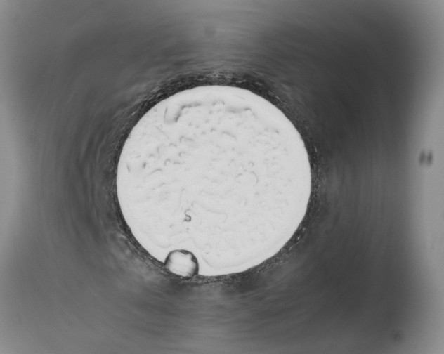 X0000114170769200911051526