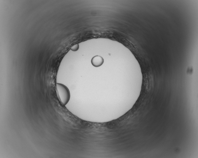 X0000114170770200911051526