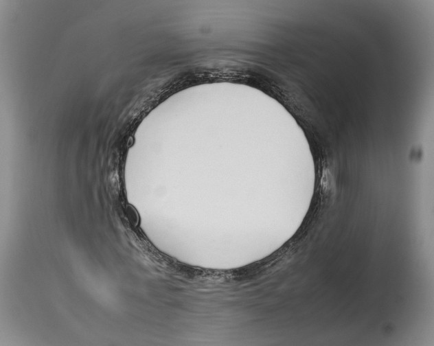 X0000114170771200911051526