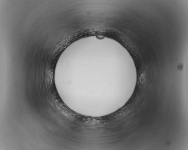 X0000114170772200911051526