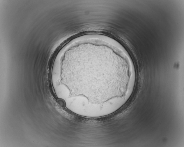 X0000114170779200911051526