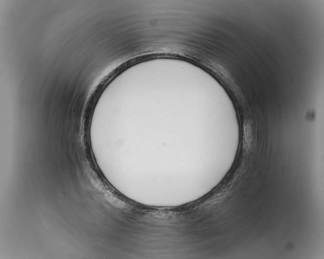 X0000114170780200911051526