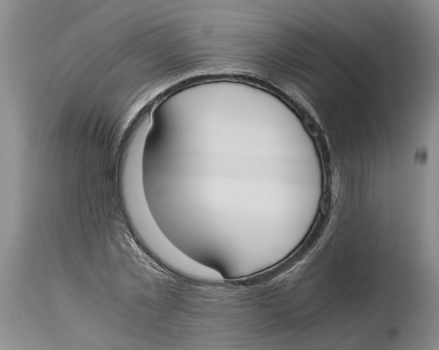 X0000114170781200911051526