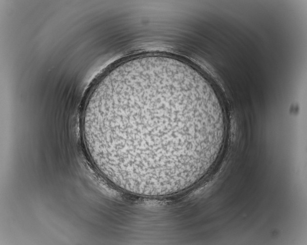 X0000114170782200911051526