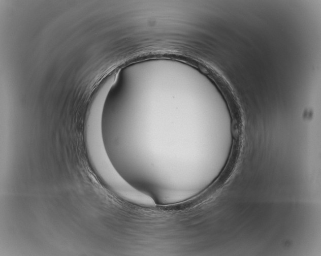 X0000114170785200911051526