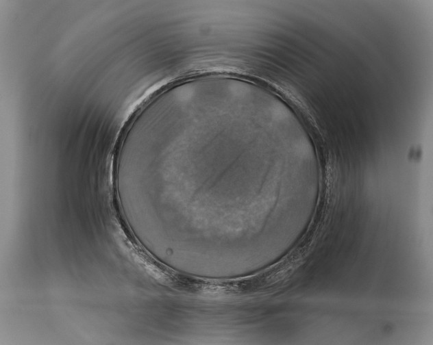 X0000114170790200911051526