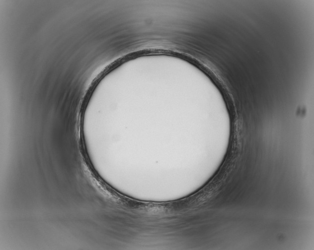 X0000114170791200911051526