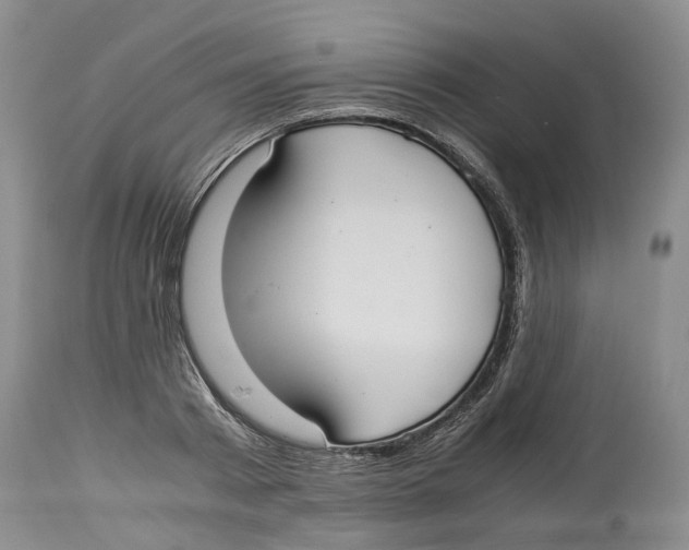 X0000114170793200911051526