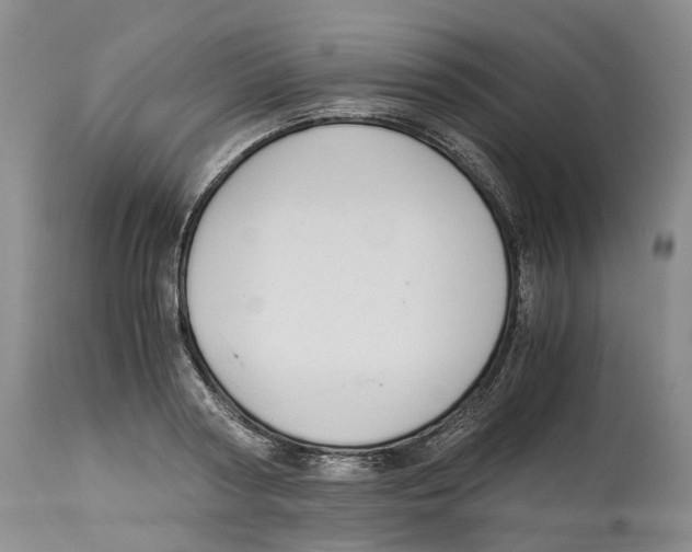 X0000114170794200911051526