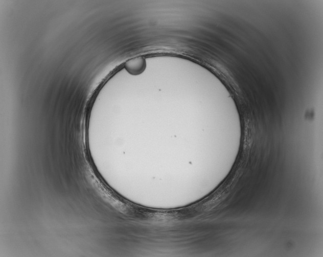 X0000114170796200911051526