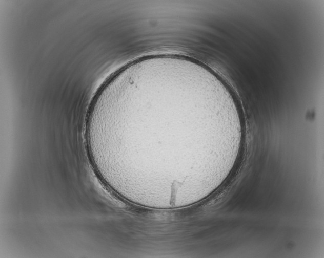 X0000114170797200911051526