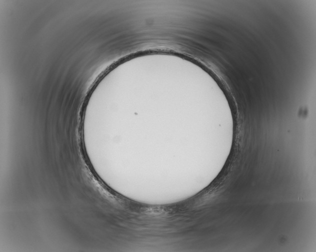 X0000114170799200911051526