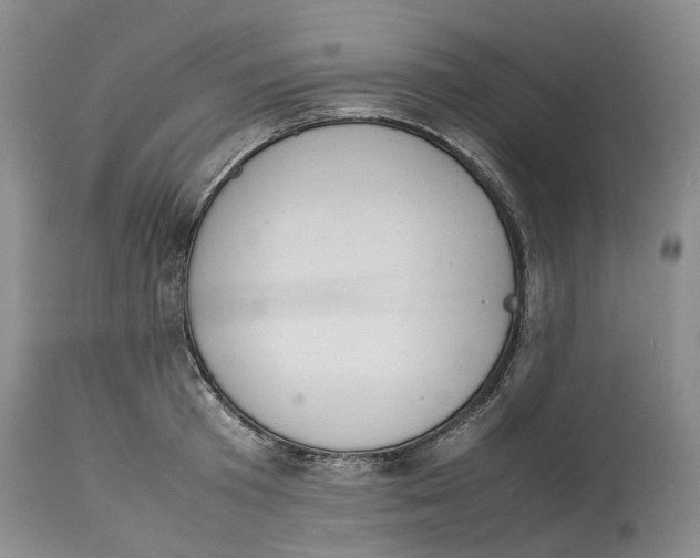 X0000114170801200911051526