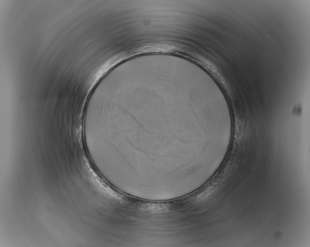 X0000114170802200911051526