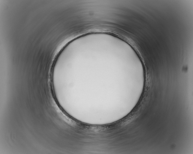 X0000114170803200911051526