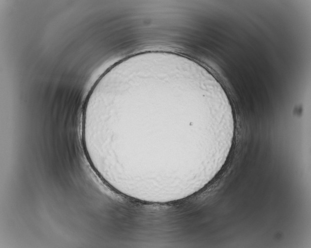 X0000114170804200911051526