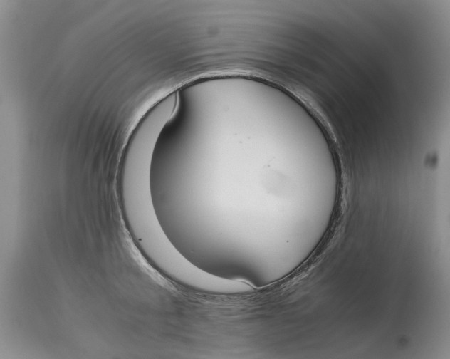 X0000114170805200911051526