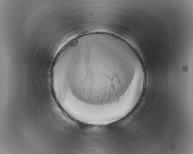 X0000114170806200911051526