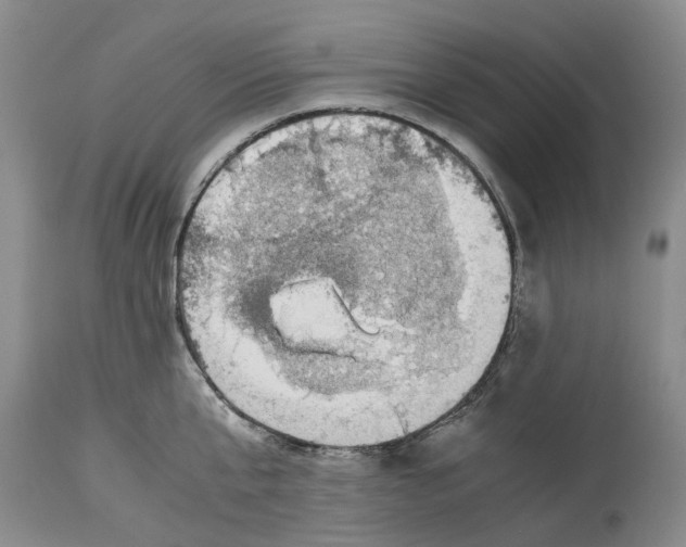 X0000114170807200911051526