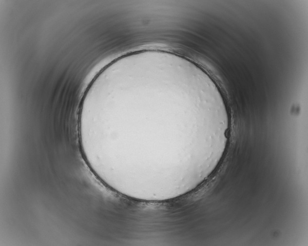 X0000114170808200911051526