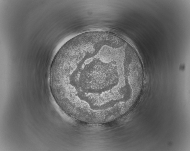 X0000114170811200911051526