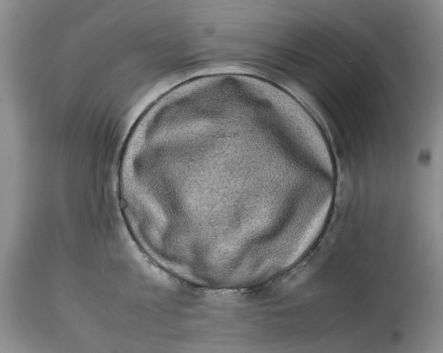 X0000114170813200911051526