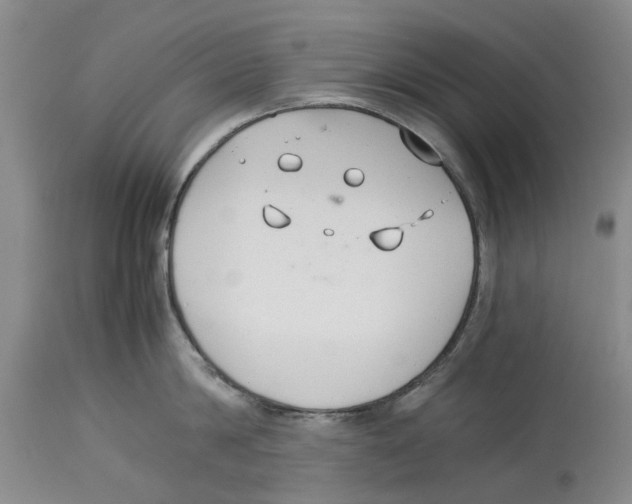 X0000114170814200911051526