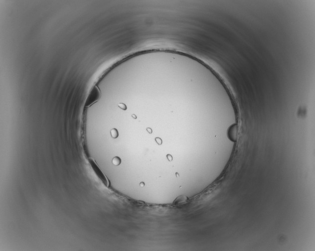 X0000114170815200911051526