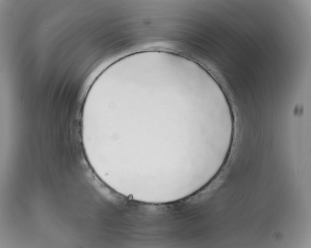 X0000114170816200911051526