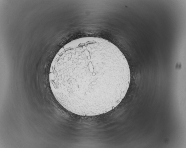 X0000114170817200911051525