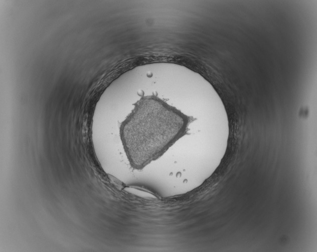 X0000114170818200911051525