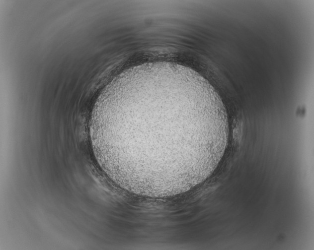 X0000114170819200911051525