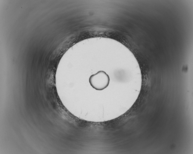 X0000114170820200911051525