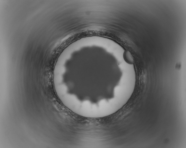 X0000114170822200911051525